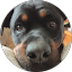 Profile photo of Mrs. Chirkis