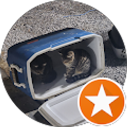 Profile photo of KATRINA FONDREN