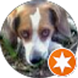 Profile photo of Matthew FALLON