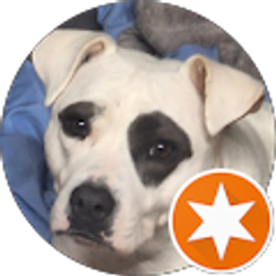 Profile photo of Donald Ballowe