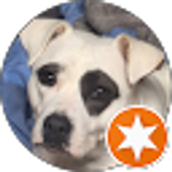 Profile photo of Donald Ballowe