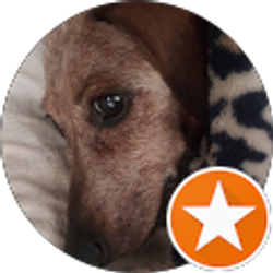 Profile photo of Daria Sorgine