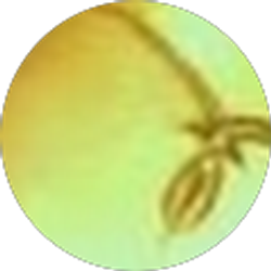 Profile photo of Eric Shaw