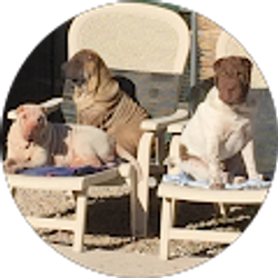 Profile photo of Eddi Fish