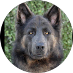 Profile photo of Janet barvincak