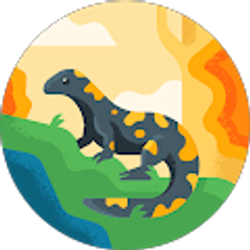 Profile photo of LQ Ma