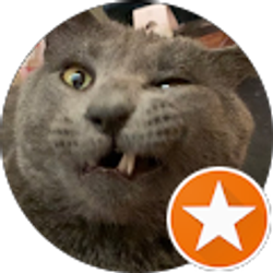 Profile photo of Mr T