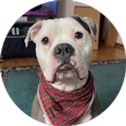 Profile photo of sara nosal