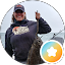 Profile photo of Kris Brissette