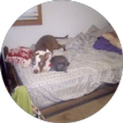 Profile photo of Mary Wagner