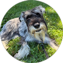 Profile photo of Kip Smith