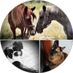 Profile photo of Laura Cortez