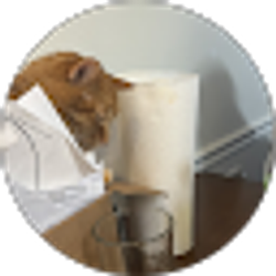 Profile photo of Jada