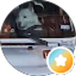 Profile photo of mauiwaverider