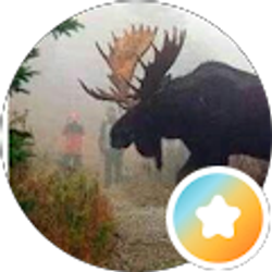 Profile photo of Greg Moose