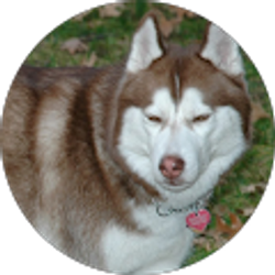 Profile photo of Cari M