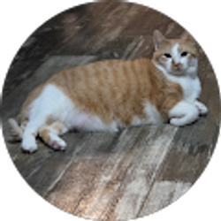 Profile photo of Chelsea Reid