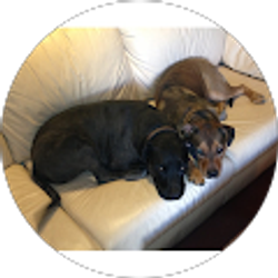 Profile photo of Kate DeMeester