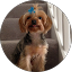 Profile photo of Steve Calder