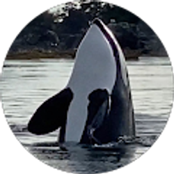 Profile photo of T Shobe