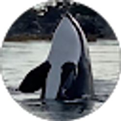 Profile photo of T Shobe