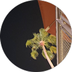 Profile photo of Tyra