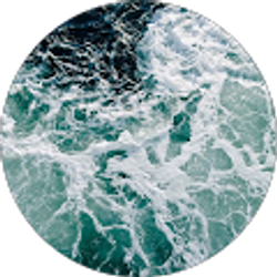 Profile photo of Terry Brown