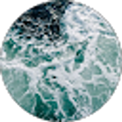 Profile photo of Terry Brown