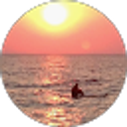 Profile photo of Drew Chesla