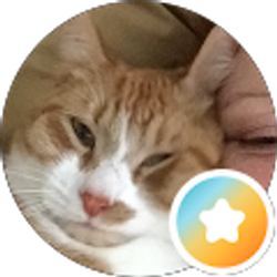 Profile photo of Terri Harris
