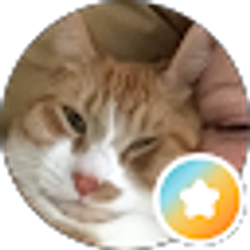 Profile photo of Terri Harris