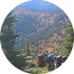 Profile photo of theuppyguppy