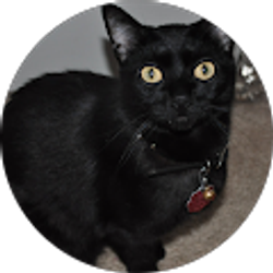 Profile photo of Angel B