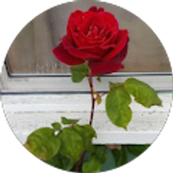 Profile photo of Phillip M. Parsons III