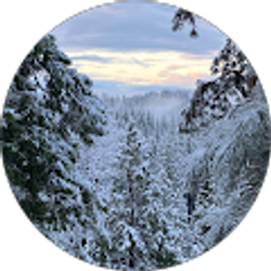 Profile photo of Michelle Morrow