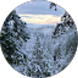 Profile photo of Michelle Morrow