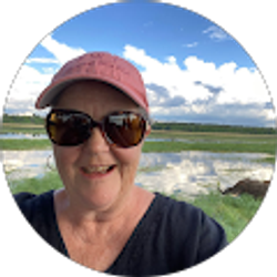 Profile photo of Dana Van Hook