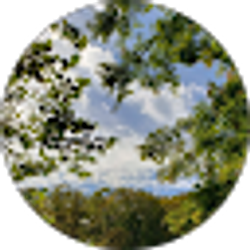 Profile photo of Blake Dube