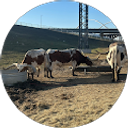 Profile photo of James Slavo