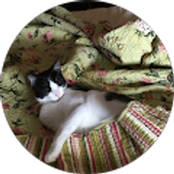 Profile photo of Celina K.