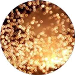 Profile photo of rayoflight feelthebeat