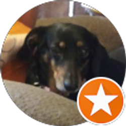 Profile photo of B B