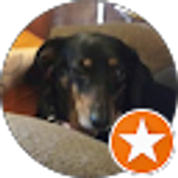 Profile photo of B B