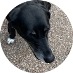 Profile photo of Helen Wormington