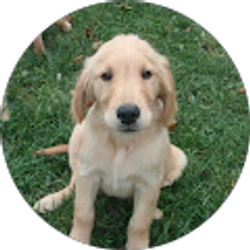 Profile photo of Brandi Hutton