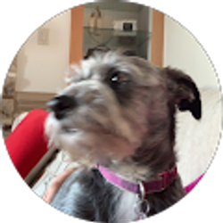 Profile photo of Lucas Haskell