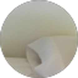 Profile photo of wardo Lopes