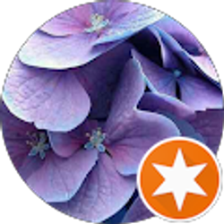 Profile photo of Karen Pollich