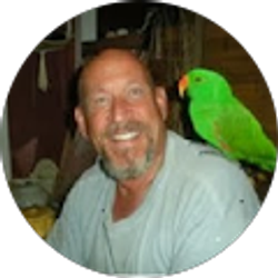 Profile photo of Steve Davis