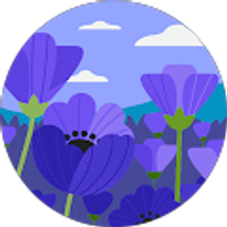 Profile photo of Seon Chung